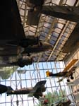IMG_6290