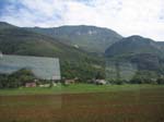 IMG_0959